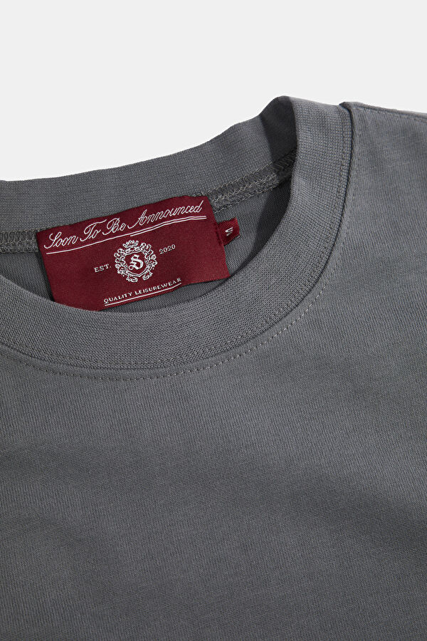 Oversize Crew Neck Printed Gray T-Shirt 3