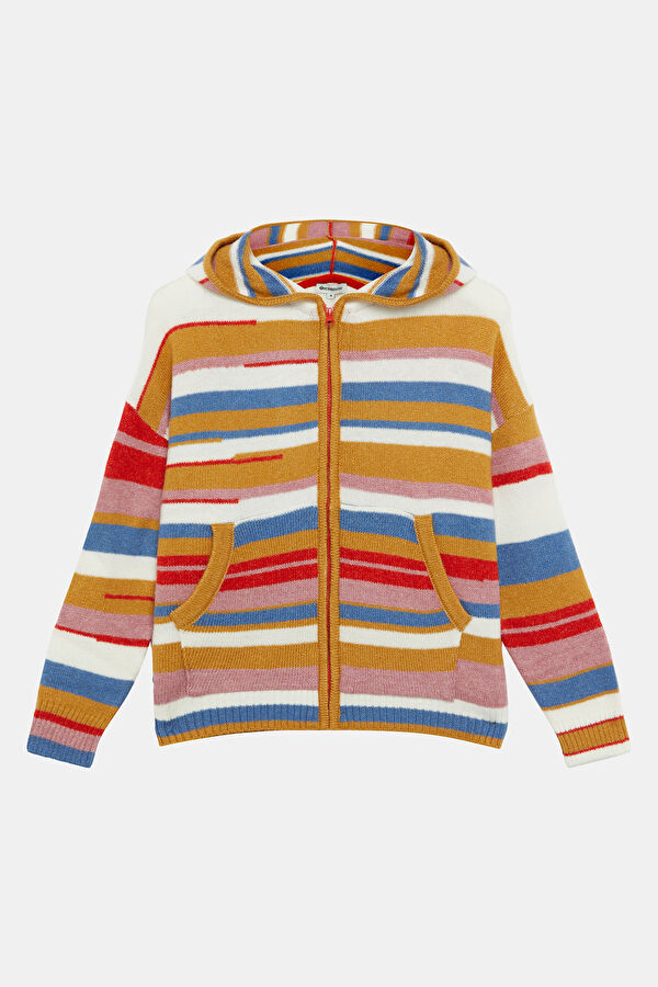 Multicolored Striped Knit Women's Cardigan