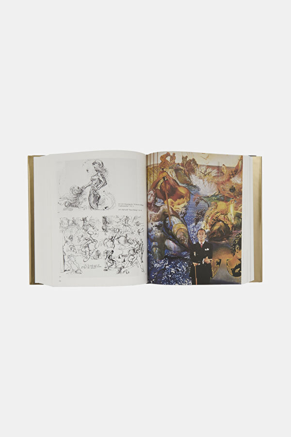 Dali The Paintings 5