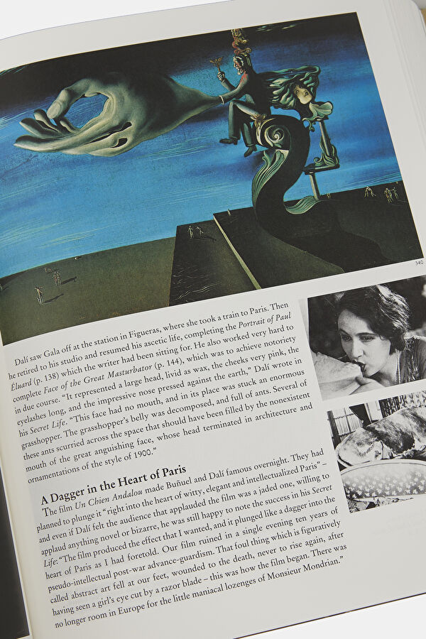 Dali The Paintings 6