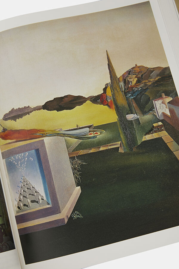 Dali The Paintings 7