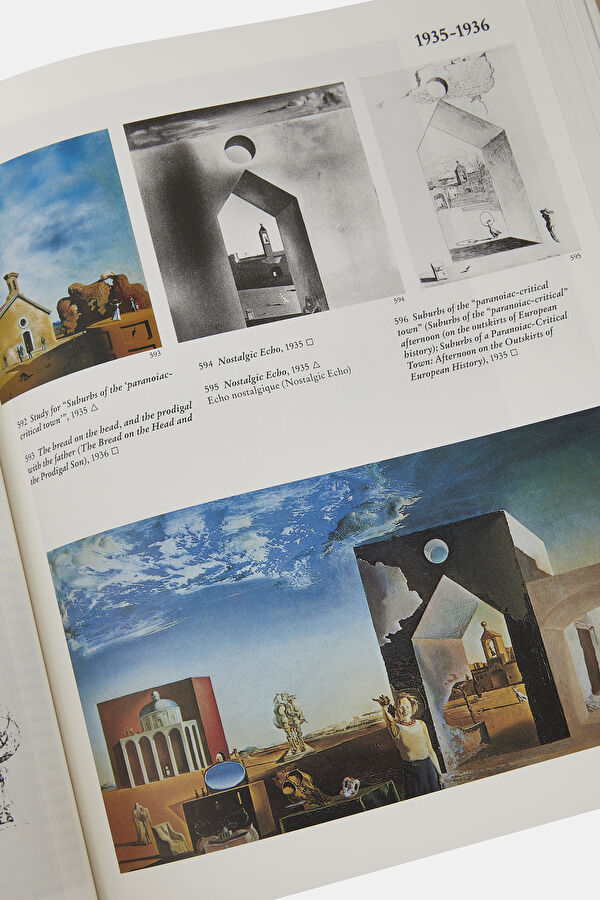 Dali The Paintings 8