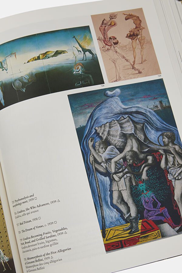 Dali The Paintings 9