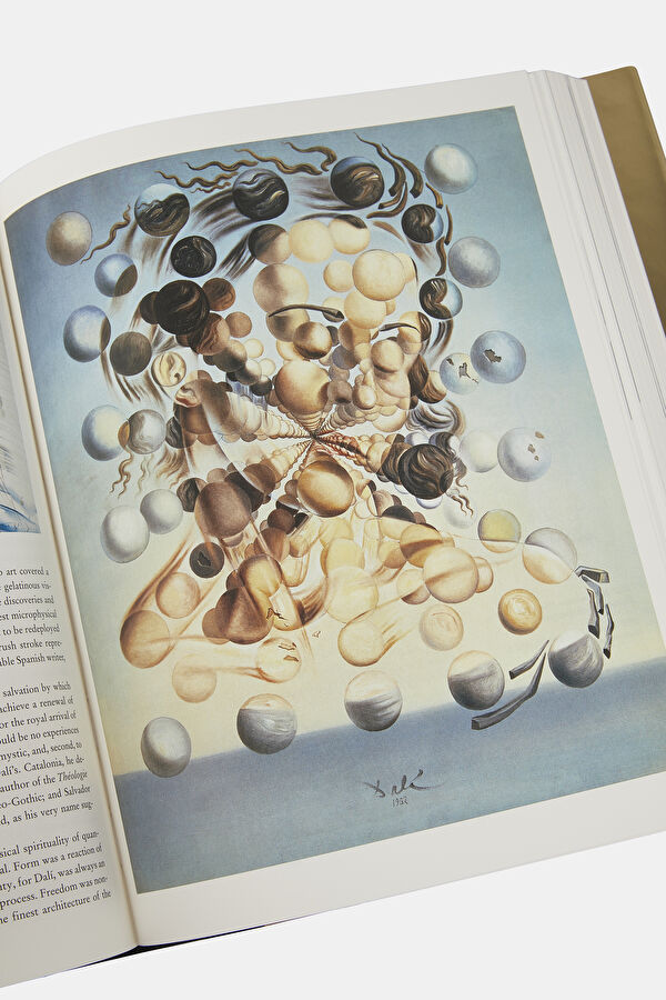 Dali The Paintings 11