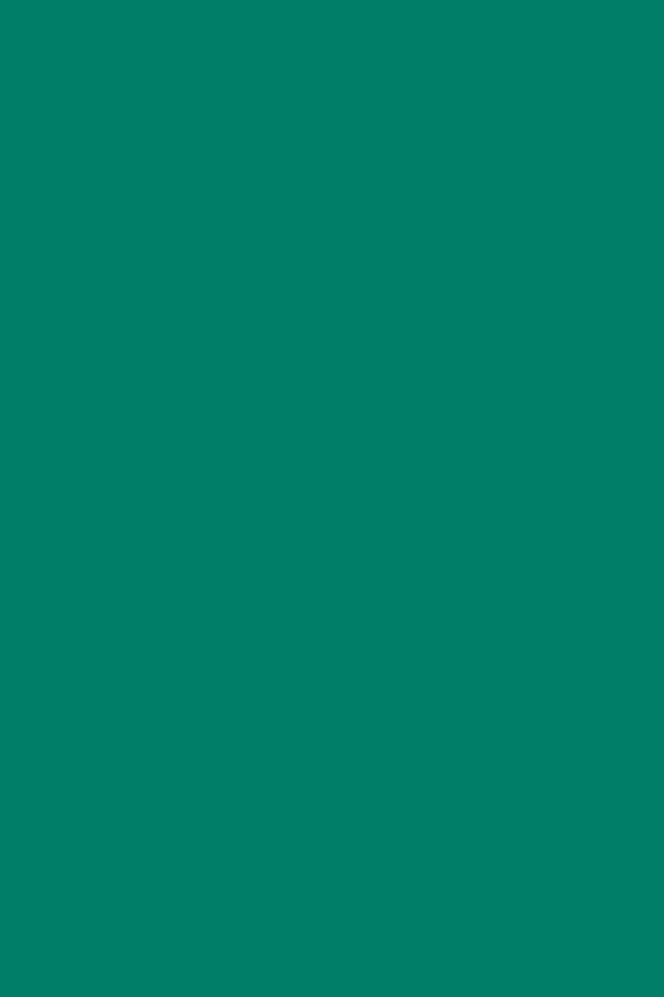 Smart Vinyl Permanent Kelly Green 2
