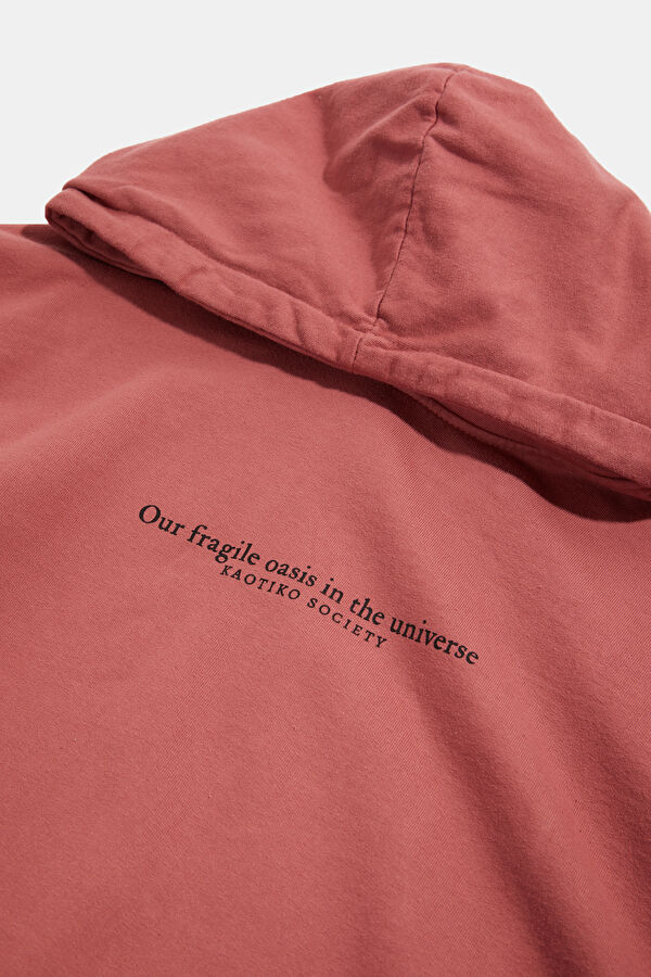 Açık Pembe Relax Kalıp Kapüşonlu Erkek Sweatshirt 3