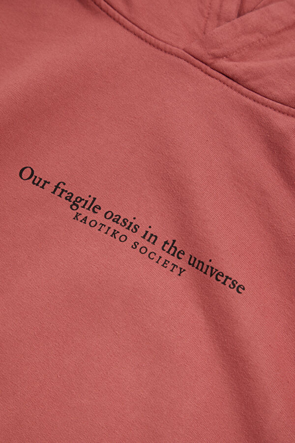 Açık Pembe Relax Kalıp Kapüşonlu Erkek Sweatshirt 4