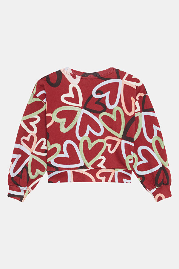 Colorful Crew Neck Kids' Sweatshirt 2