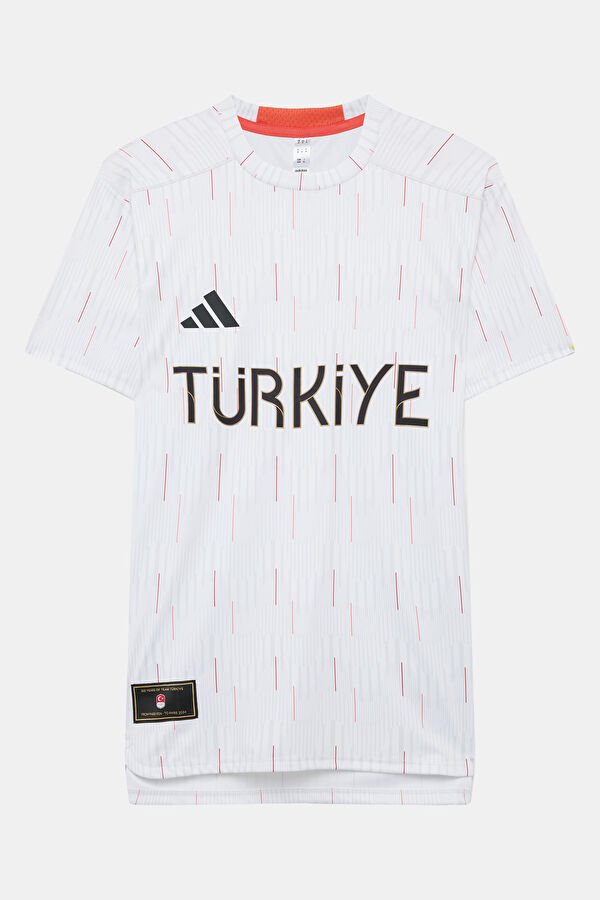 Türkiye Açık Gri Bisiklet Yaka Desenli T-Shirt