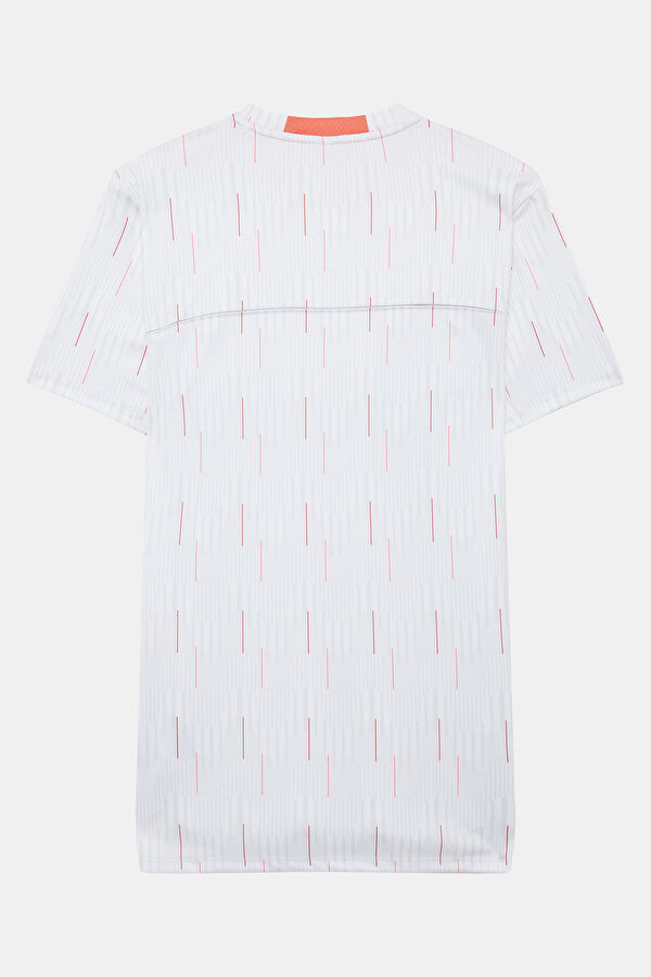 Türkiye Açık Gri Bisiklet Yaka Desenli T-Shirt 2