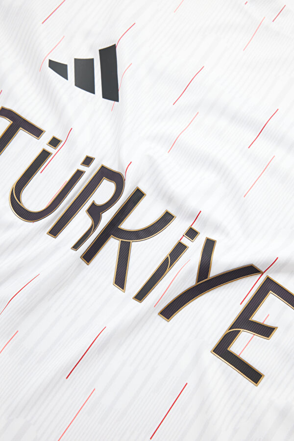 Türkiye Açık Gri Bisiklet Yaka Desenli T-Shirt 4