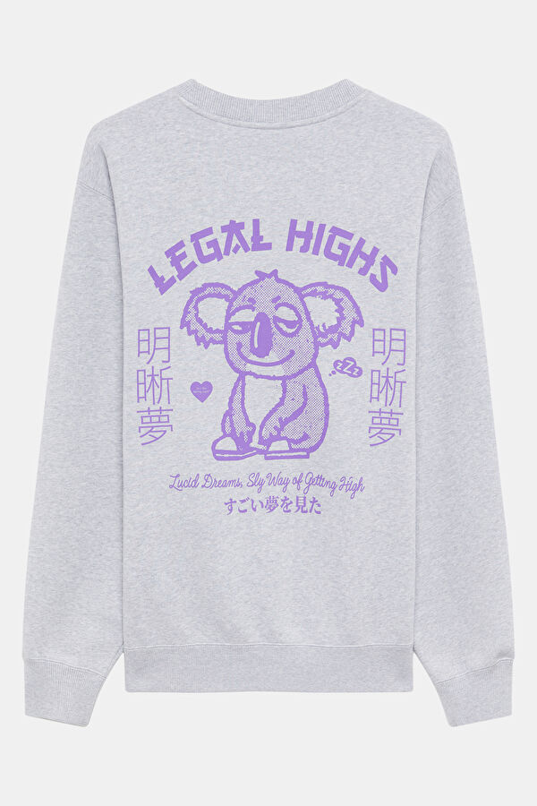 Gri Relax Kalıp Bisiklet Yaka Erkek Sweatshirt 2