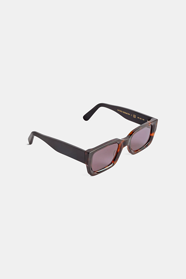 Bosa Havana Sunglasses 2