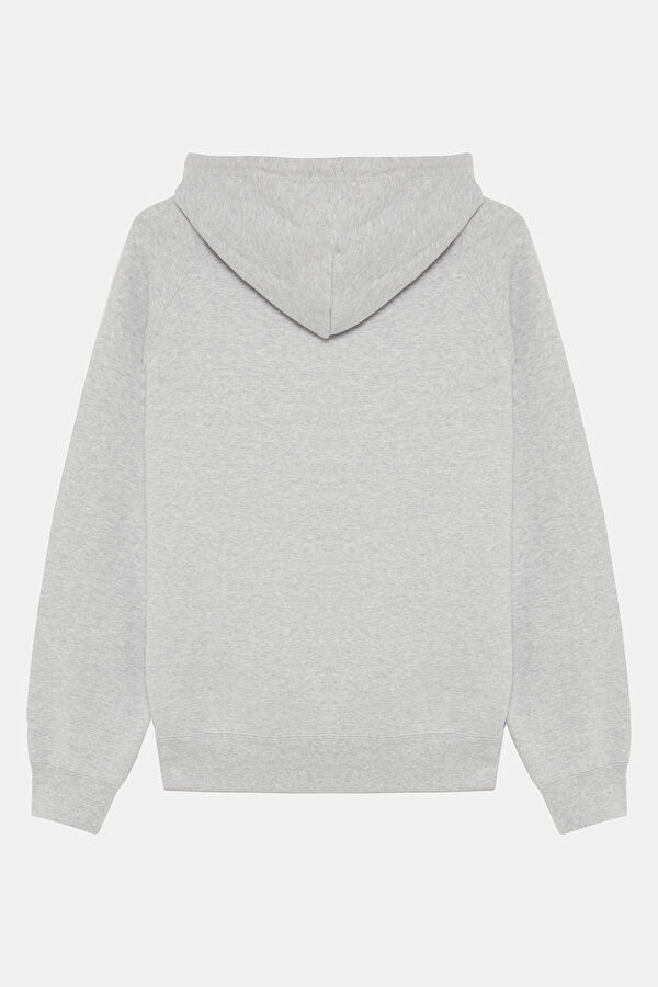 X LMC Açık Gri Relax Kalıp Kapuşonlu Erkek Sweatshirt 2