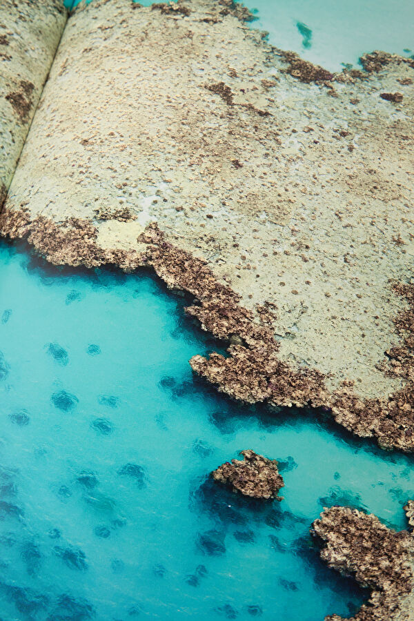 Saudi Arabia: Red Sea 6