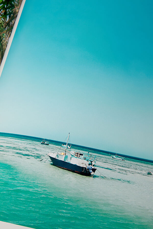 Saudi Arabia: Red Sea 8