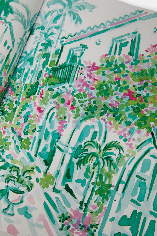 Palm Beach 6