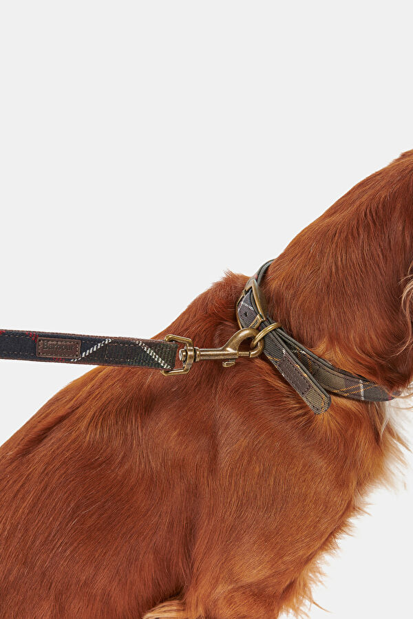 Tartan Köpek Tasma Kayışı 7