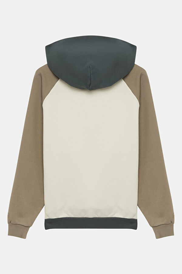 Çok Renkli Relax Kalıp Kapüşonlu Erkek Sweatshirt 2