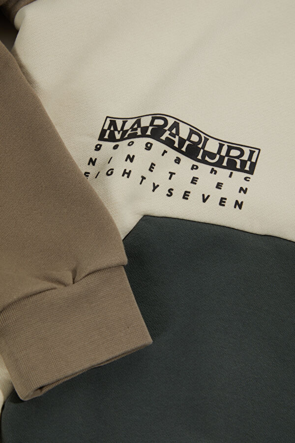 Çok Renkli Relax Kalıp Kapüşonlu Erkek Sweatshirt 4