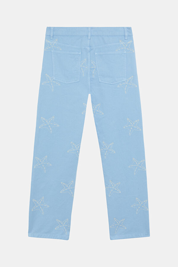 Starfish Pattern Organic Straight Unisex Men's Pants 5