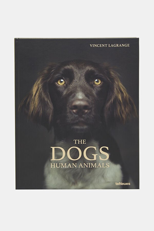 The Dogs