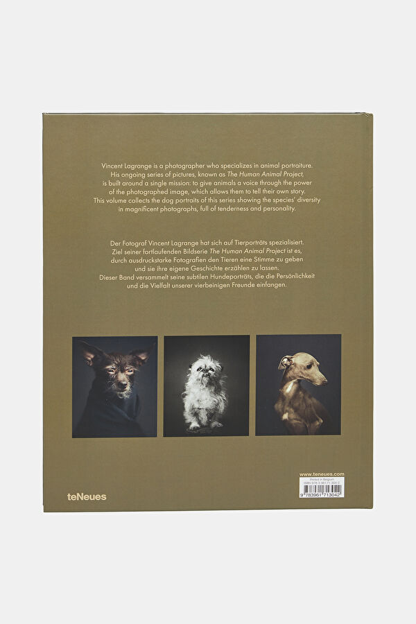 The Dogs 3
