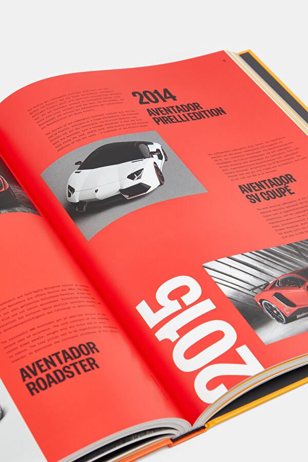 The Lamborghini Book 12