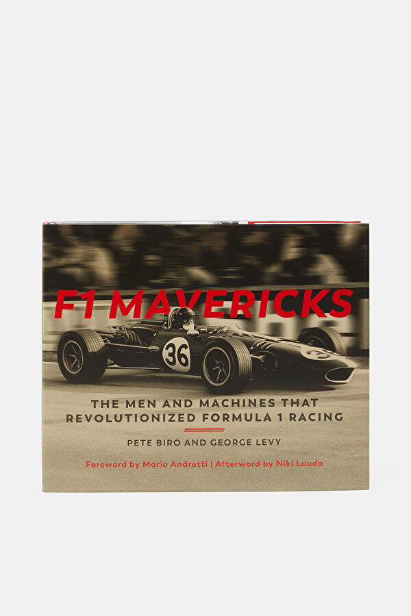 F1 Mavericks