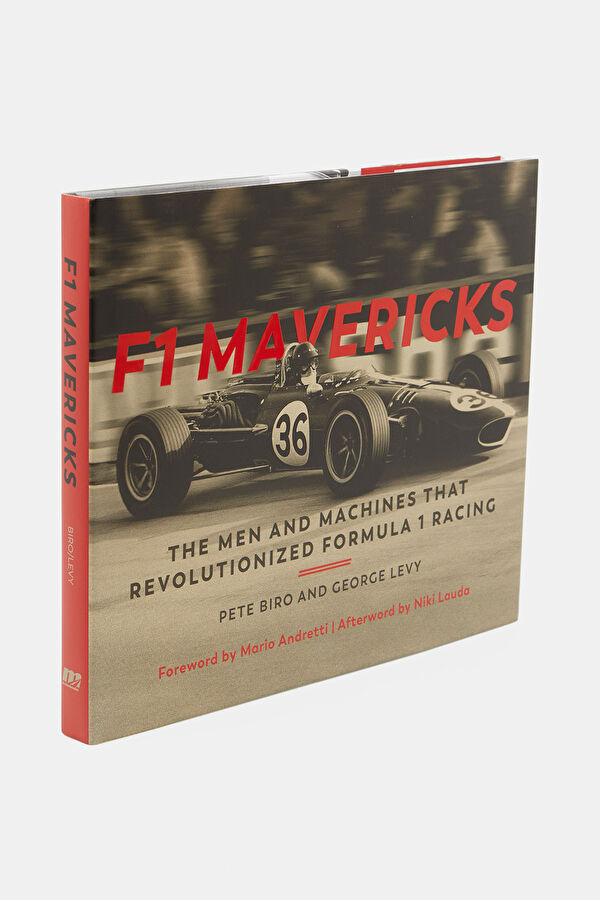 F1 Mavericks 2