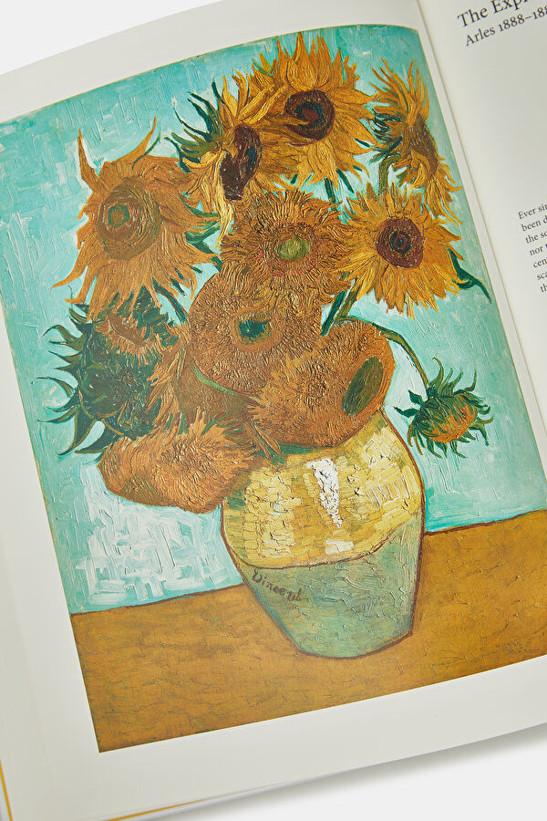 Van Gogh 8
