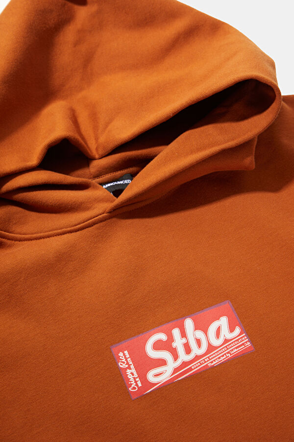 Brown Relax Fit Hooded Women's Sweatshirt 3