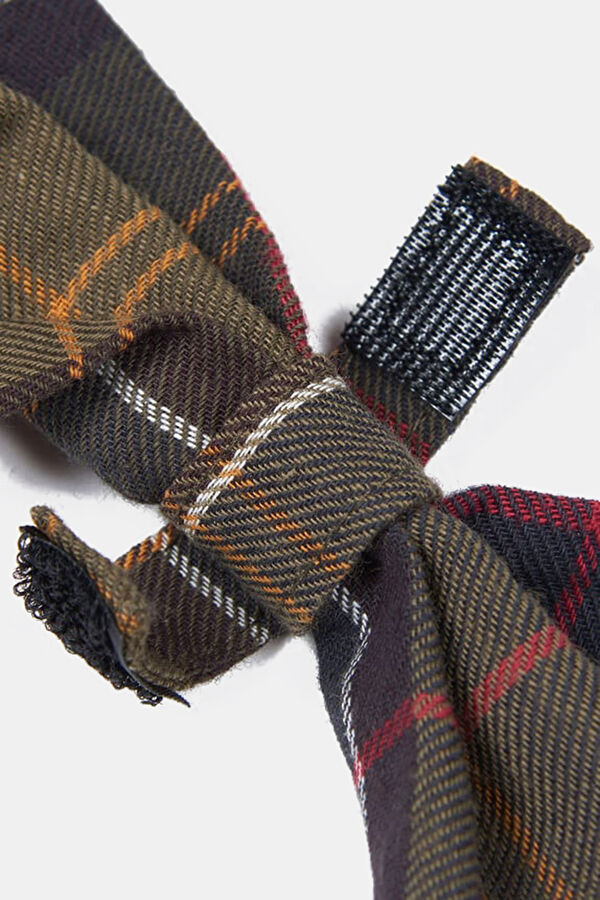 Tartan Köpek Papyonu 2