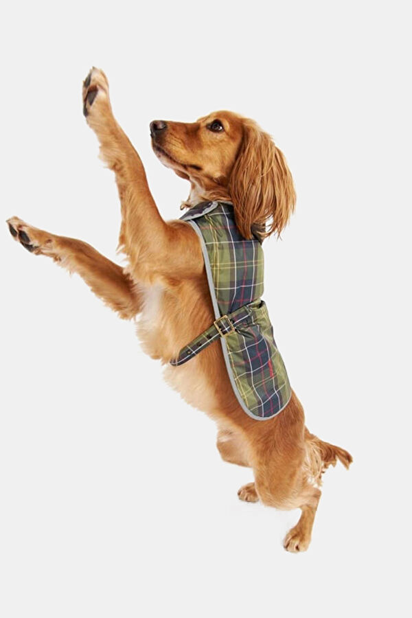 Wetherham Ekose Köpek Montu 2