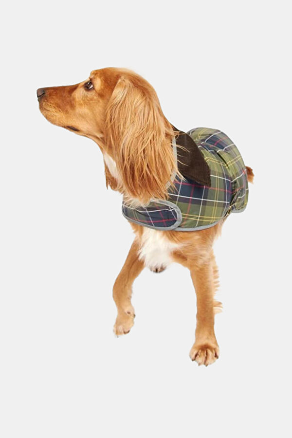 Wetherham Ekose Köpek Montu 4