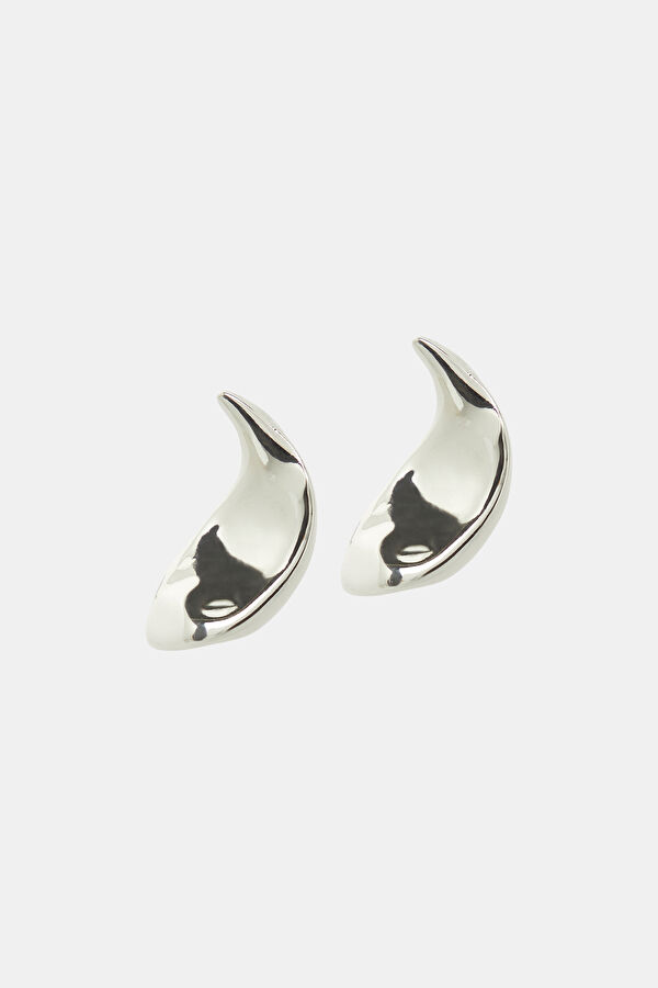 Silver Colored Earrings