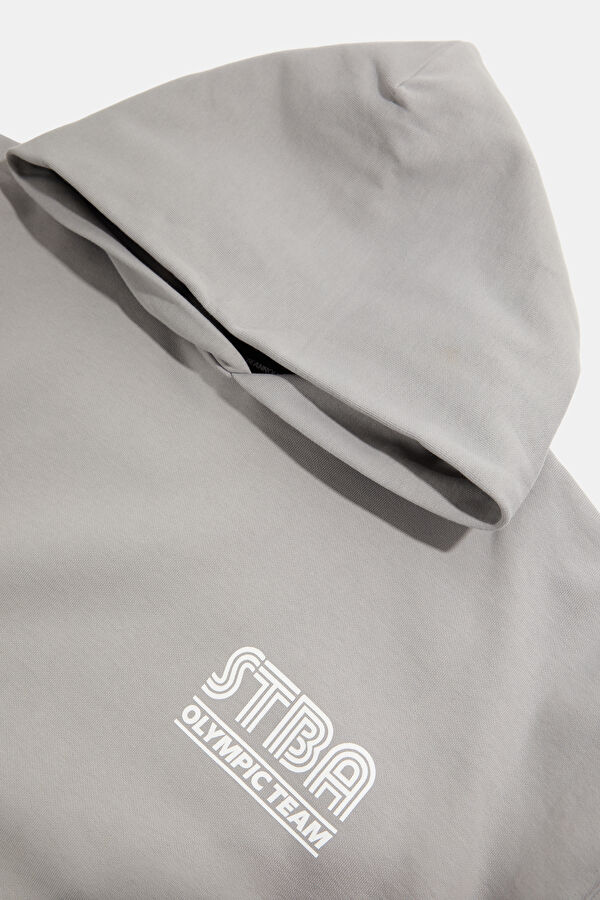 Equus Olimpica Gray Relax Fit Hooded Men's Sweatshirt 3
