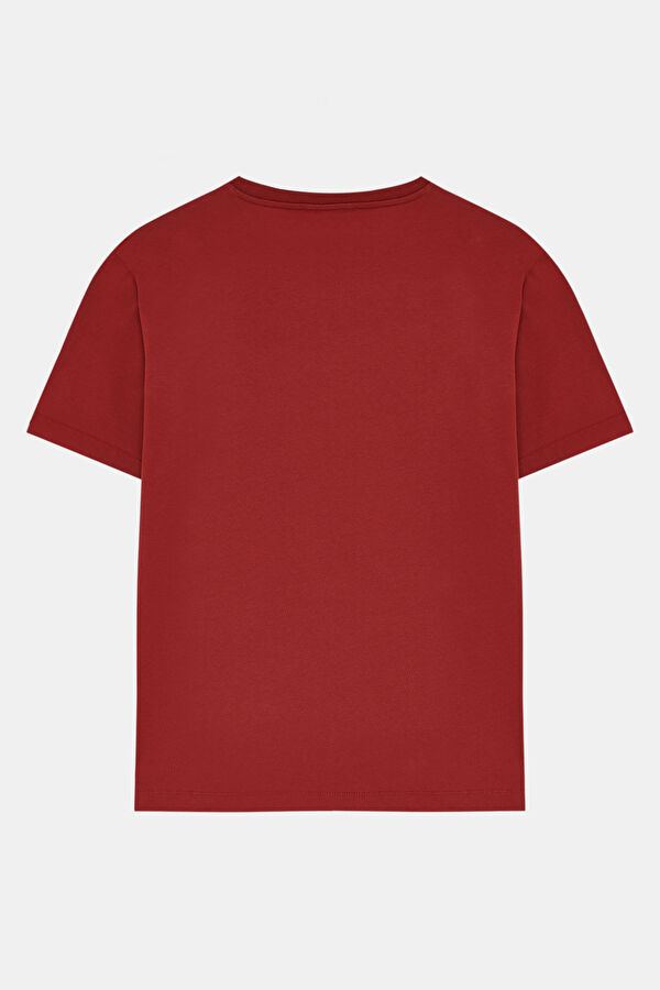 Relax Kalıp Koyu Kırmızı Bisiklet Yaka Baskılı Erkek T-Shirt 2