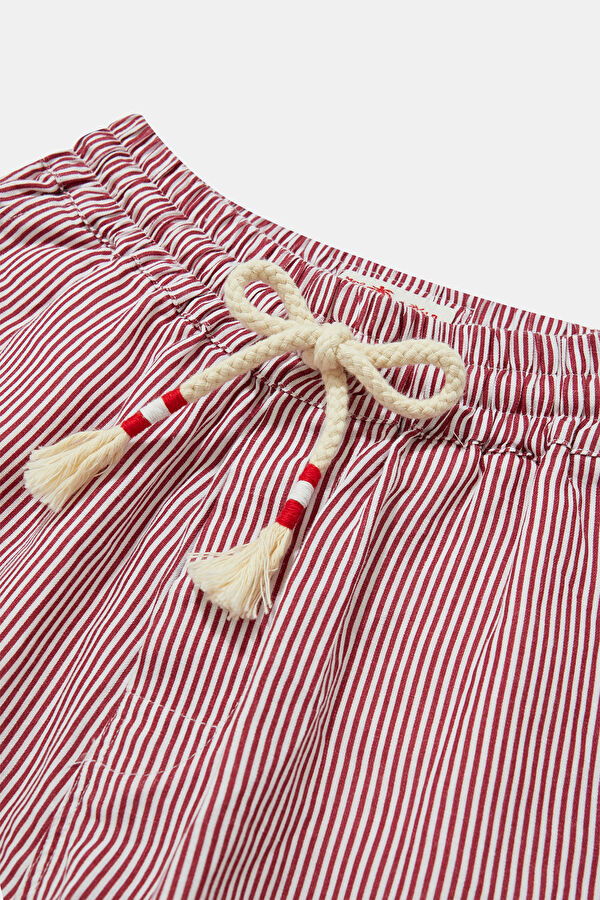 Burgundy Striped Linen Men's Shorts 3