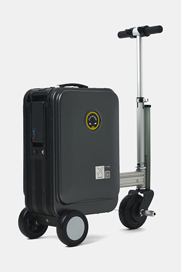 SE3S Electric Scooter Luggage