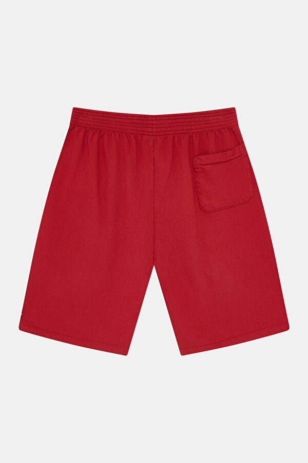 Red Men's Shorts 2