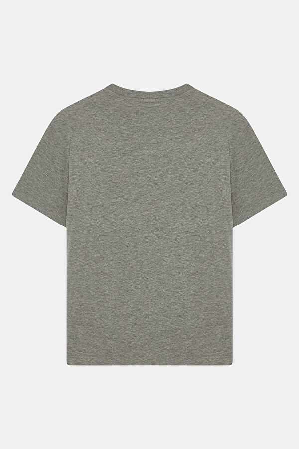 Gri Bisiklet Yaka Nakışlı Erkek T-Shirt 2