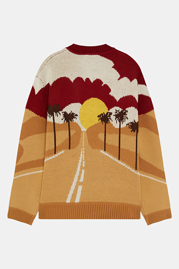Colorful Patterned Knitted Men's Sweater 4