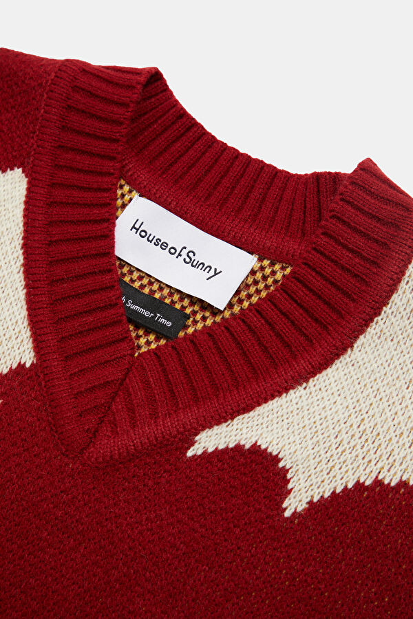 Colorful Patterned Knitted Men's Sweater 5