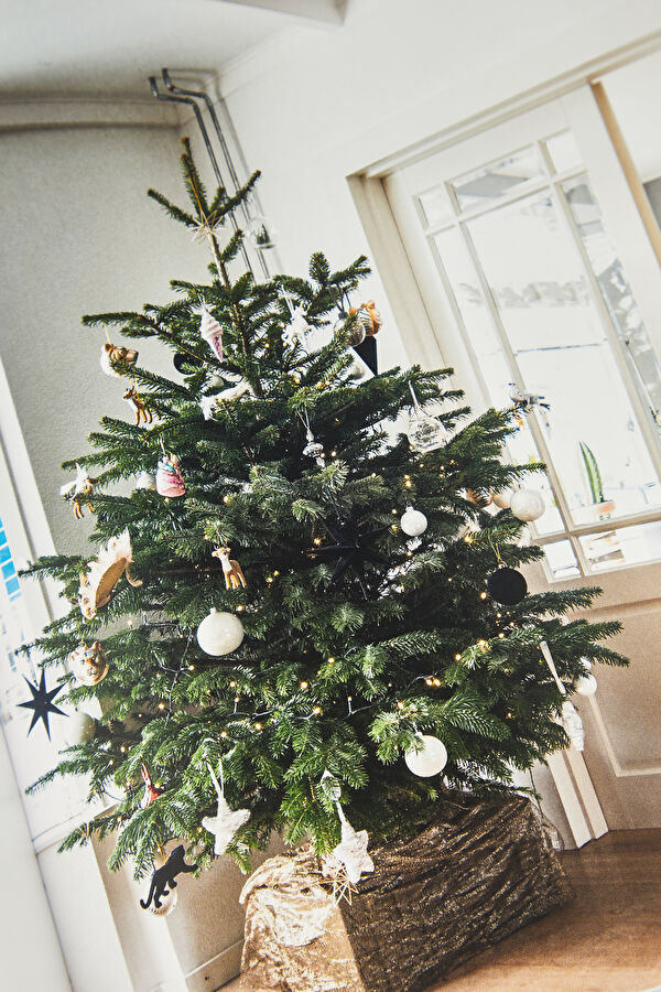 Home for Christmas 8