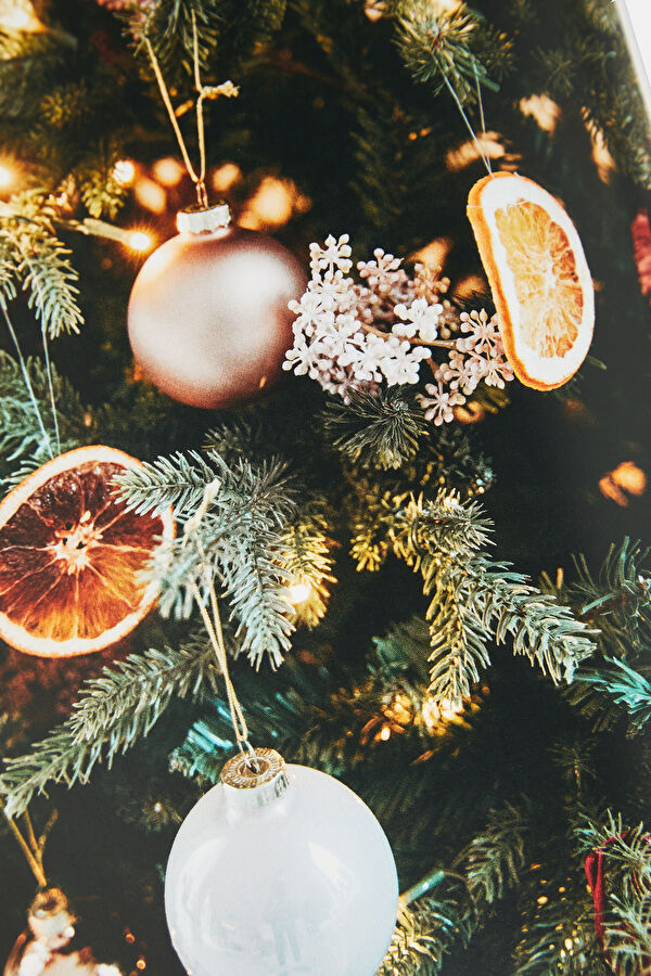 Home for Christmas 10