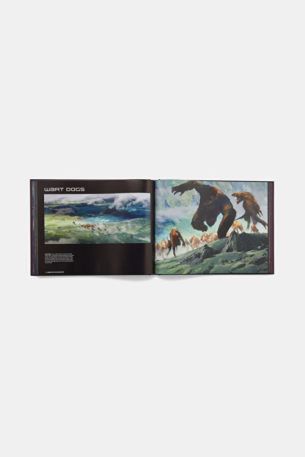 Art of Godzilla x Kong: The New Empire 5