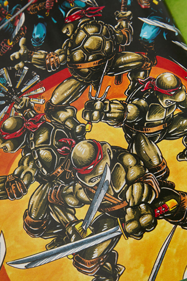 Teenage Mutant Ninja Turtles: The Ultimate Visual History 6