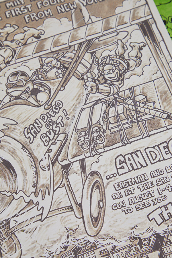 Teenage Mutant Ninja Turtles: The Ultimate Visual History 7
