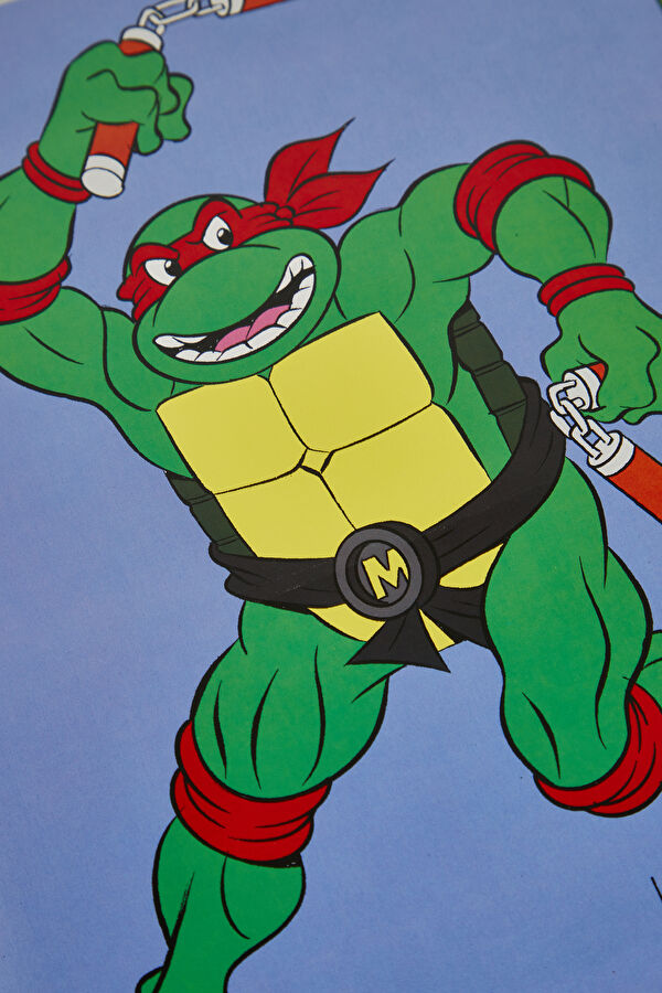 Teenage Mutant Ninja Turtles: The Ultimate Visual History 8